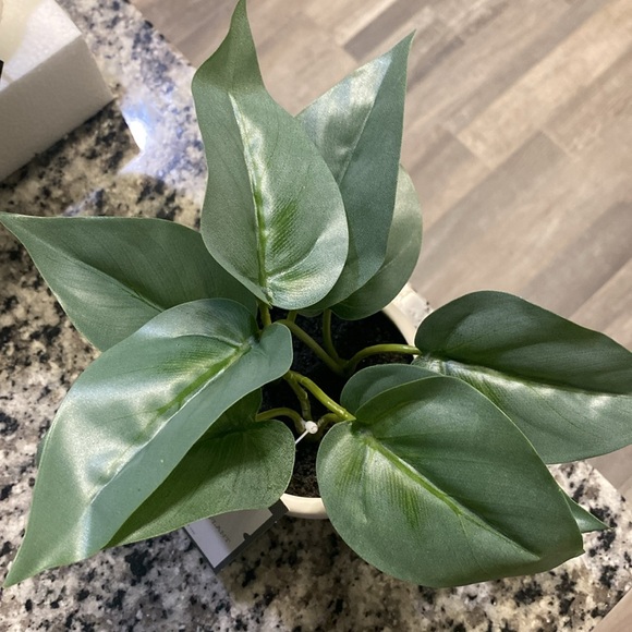 Bundle of 4 Threshold Faux Green Leaf Plants - Picture 5 of 7